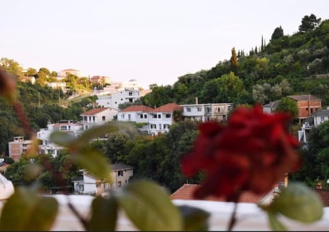 Bisha Apartments Apartment in Ulcinj