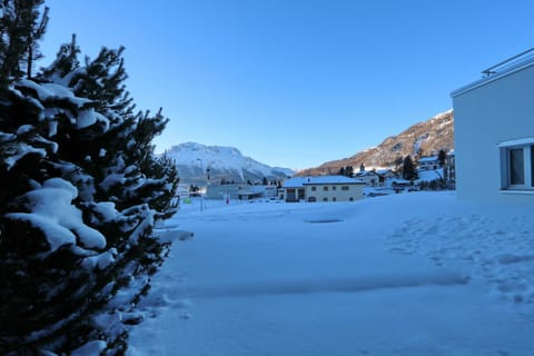 Natural landscape
