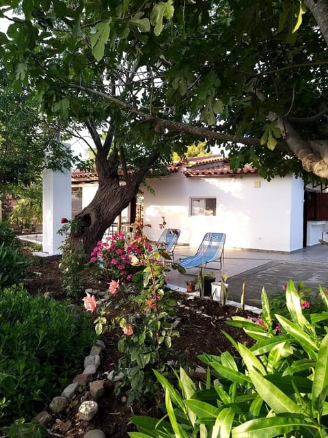 Garden, Garden view