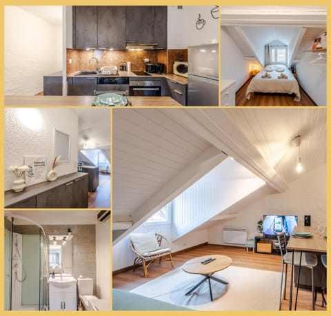 Chez Noé I T2 I Thonon Apartment in Thonon-les-Bains