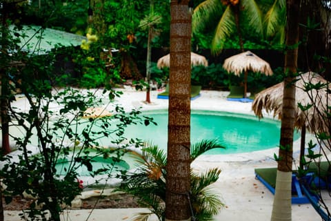 Swimming pool, Swimming pool