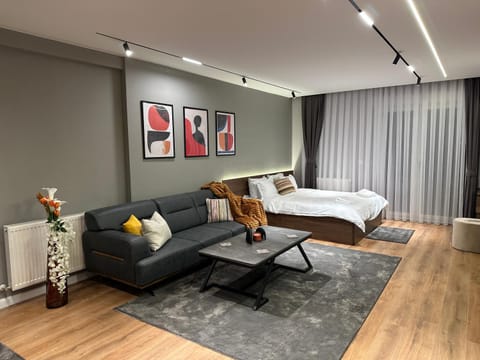 Bed, Living room, Photo of the whole room, Seating area, Bedroom