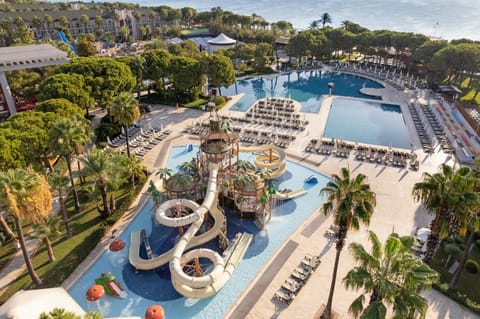 Day, Bird's eye view, Swimming pool