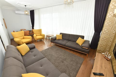 Living room, Seating area, air conditioner