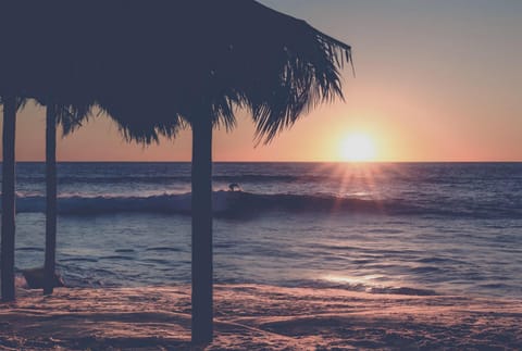 Surf Spot 3 Apartment in La Jolla