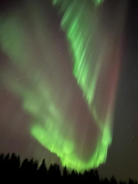 Apartment Pine Apartment in Rovaniemi