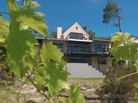 Property building, Garden, Garden view