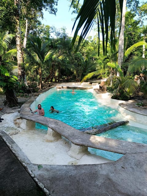 Day, Garden view, Pool view, Swimming pool, Swimming pool