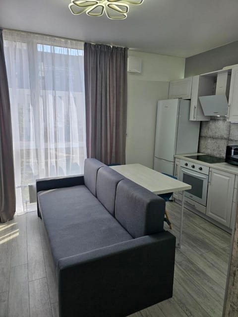 Kitchen or kitchenette, Living room, Seating area, Dining area, oven, stove