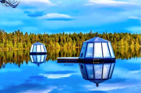 Natural landscape, Summer