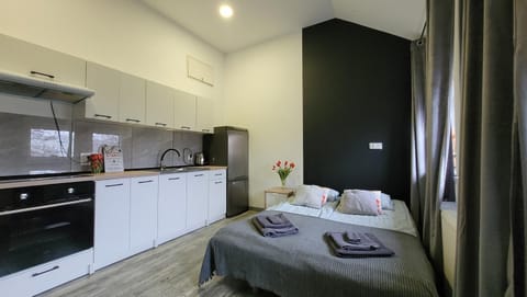 Bed, Kitchen or kitchenette, Photo of the whole room, Bedroom, stove, towels