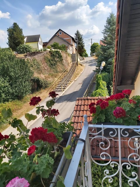 Nelly Apartment in Vojvodina