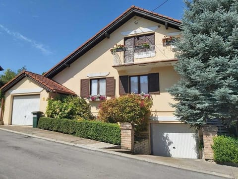 Nelly Apartment in Vojvodina