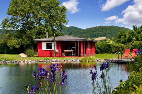 Garden, Swimming pool, Swimming pool