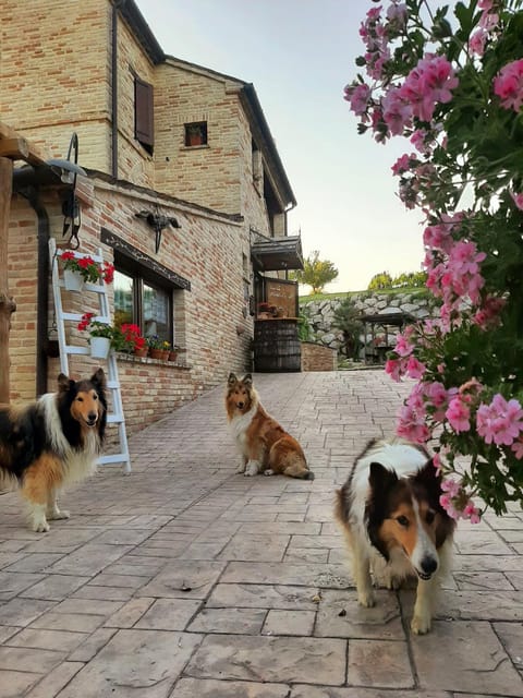 Il Casale dell'Acquabona Farm Stay in Marche