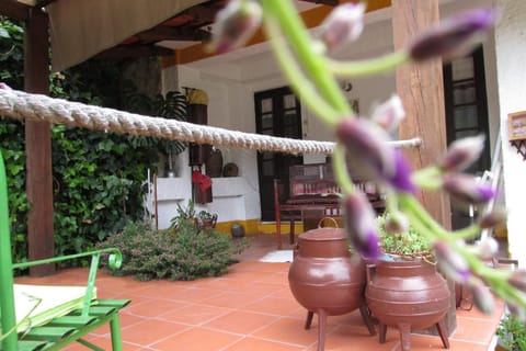 Spring, Balcony/Terrace, Other