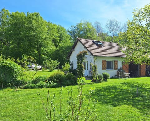Natural landscape, Garden, Garden, View (from property/room)