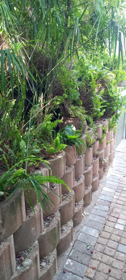 81 A & Away Studio apartment West Wing Apartment in Western Cape