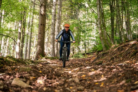 Anatura Ardenne Villa in Wallonia, Belgium
