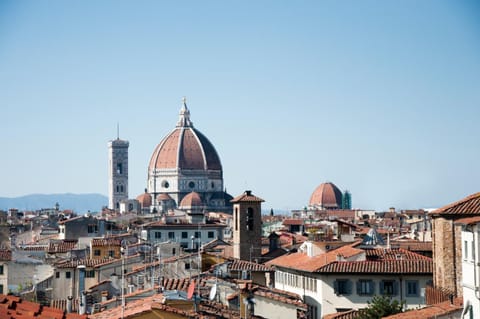 Evaluna Apartments Apartment in Florence