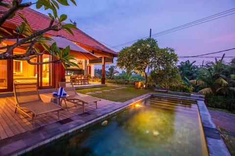 Property building, Patio, Natural landscape, Garden, Garden view, Pool view, Swimming pool