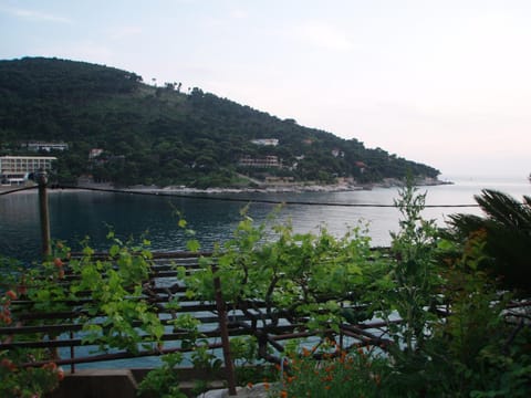 Garden, View (from property/room)