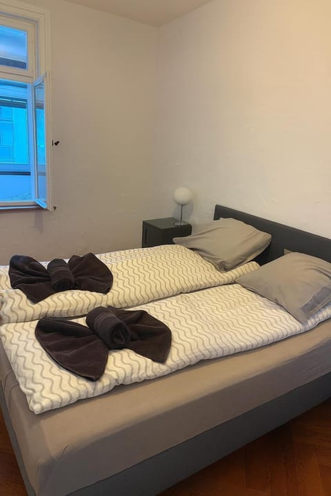 Cool and Laidback at Sankt Johann Apartment in Basel