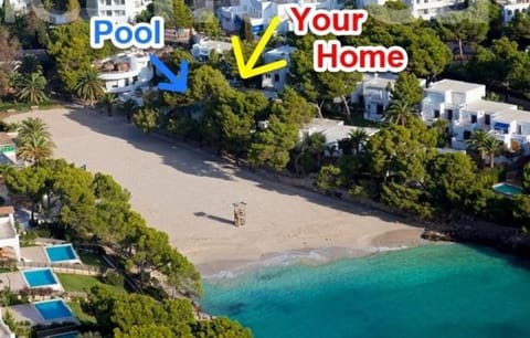 Bird's eye view, Beach, Area and facilities