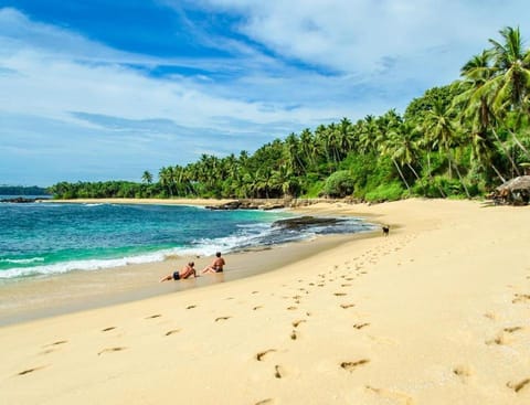 Nearby landmark, Beach