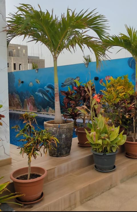 Pool view