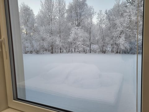 Villa Norlight A Villa in Lapland