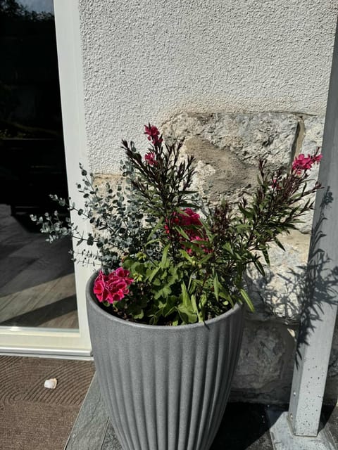 Blue Sky Apartment Apartment in Bled