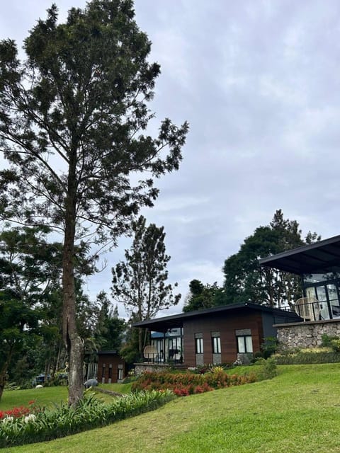 Property building, Natural landscape, Garden view