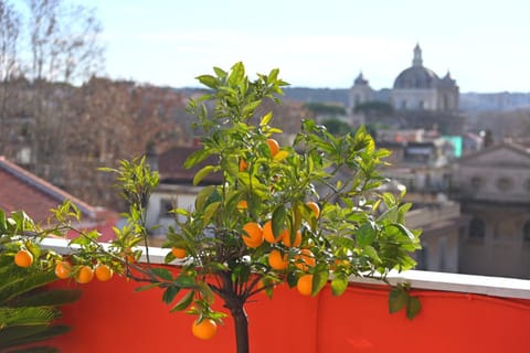 Balcony/Terrace, City view