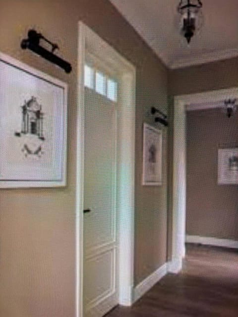 Urban Retreat Parkside Suite with Terrace and Entertainment Apartment in Schleswig-Holstein