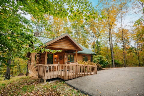 Ferngully Creek Cabins Cabin in Ohio