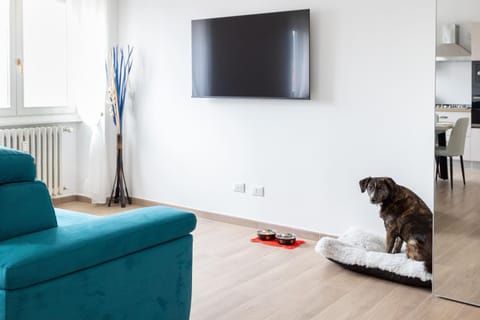 TV and multimedia, Pets