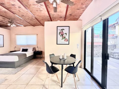 Studio with Salt Water Pool Apartment in Ajijic