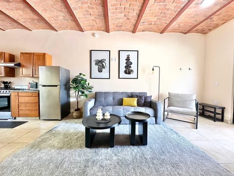 Studio with Salt Water Pool Apartment in Ajijic