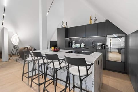 Bahnhofstrasse Designer Penthouse Private Rooftop Apartment in Zurich City