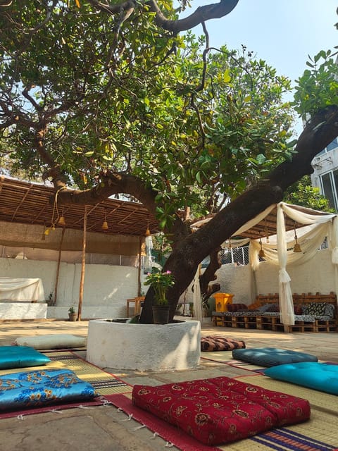 Patio, Communal lounge/ TV room, Lounge or bar