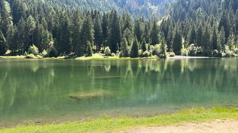 Lake view, Mountain view