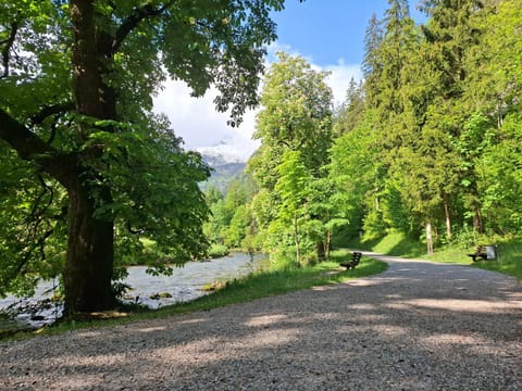 Natural landscape, River view