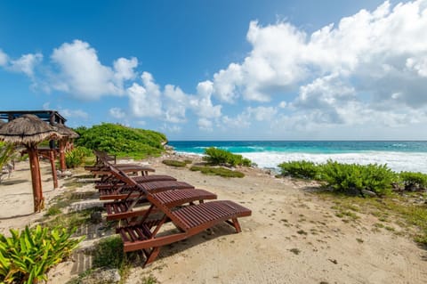 Natural landscape, Garden, View (from property/room), Sea view, sunbed