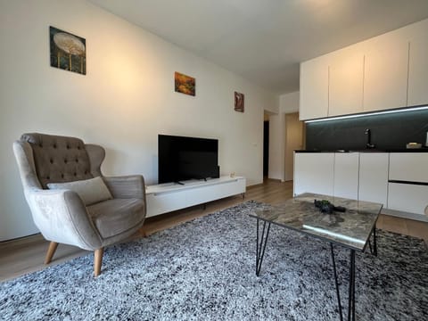 Modern Apartments Apartment in Serbia