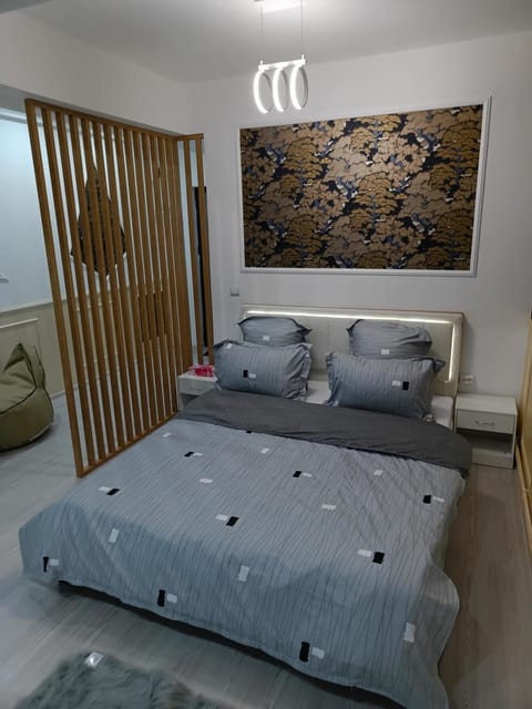 Lumière Lounge Apartment in Craiova