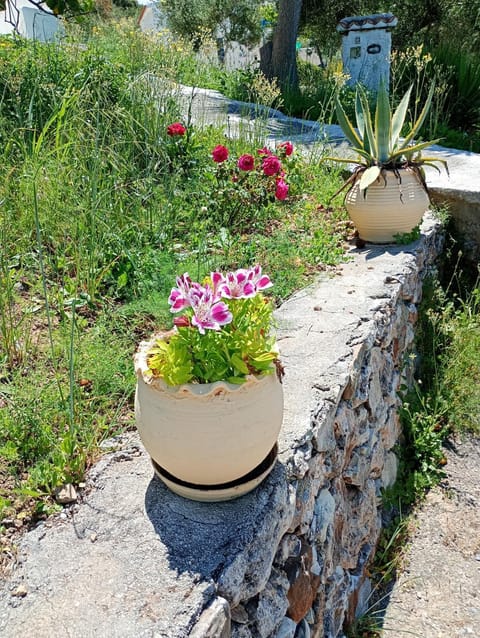 Stefanos Garden Apartment in Crete
