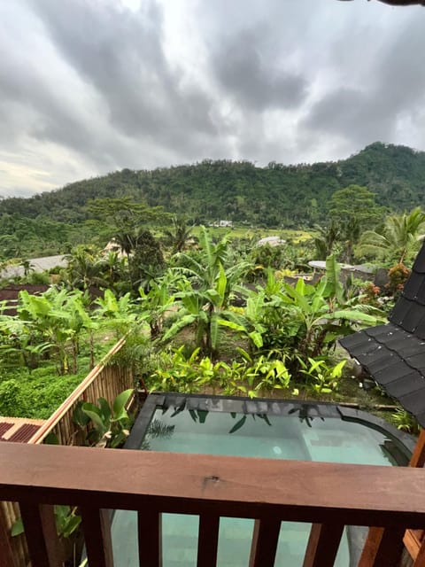 Garden, Swimming pool