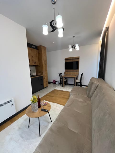 Winter House Apartment in Serbia