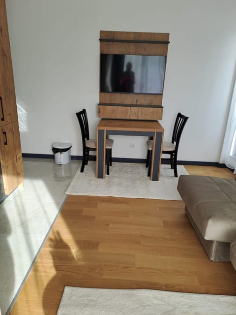 Winter House Apartment in Serbia